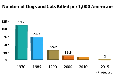 Chart of our progress to no-kill